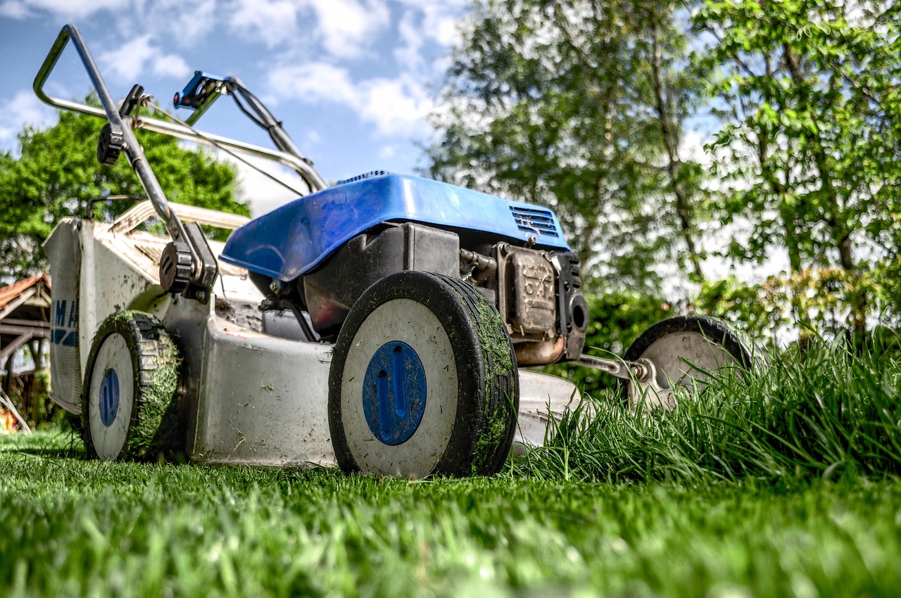 Garden Tools FAQs for Pruning, Digging and Seasonal Care